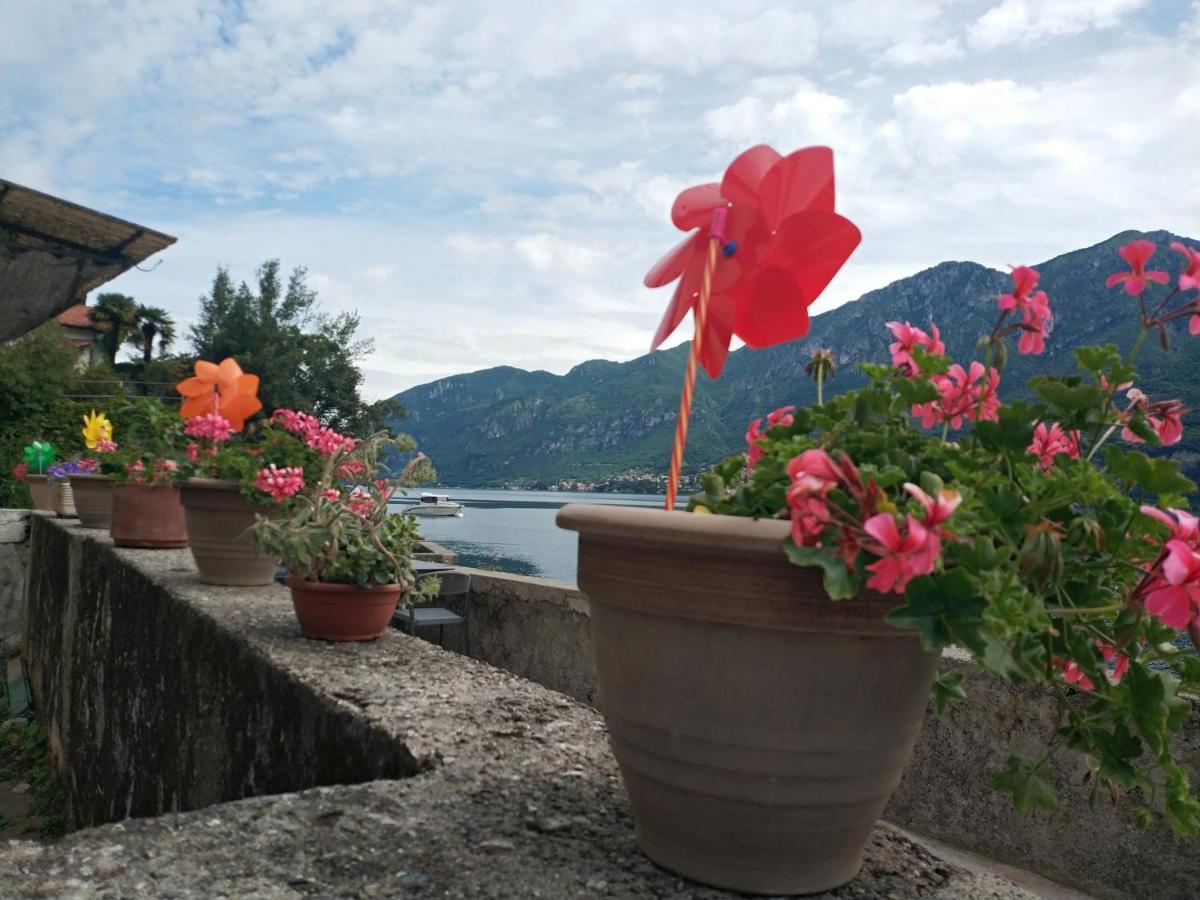 Apartment A Lago Private Beach And Parking Oliveto Lario Exterior foto