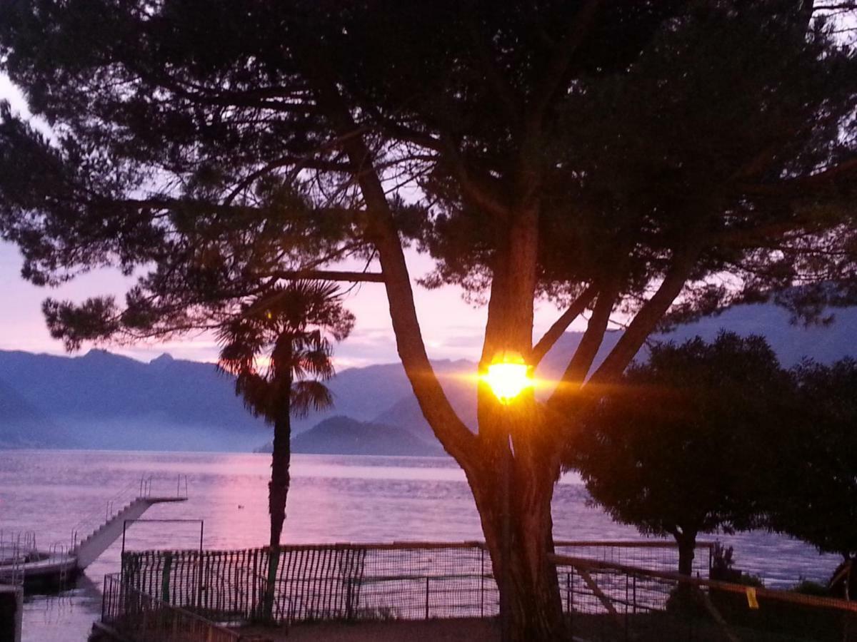 Apartment A Lago Private Beach And Parking Oliveto Lario Exterior foto